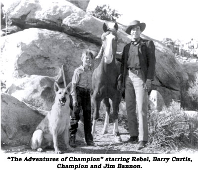 "The Adventures of Champion" starring Rebel, Barry Curtis, Champion and Jim Bannon.