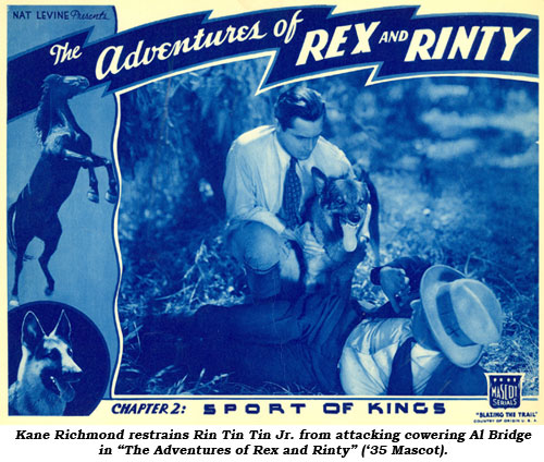 Kane Richmond restrains Rin Tin Tin Jr. from attacking cowering Al Bridge in "The Adventures of Rex and Rinty" ('35 Mascot).