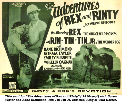 Title card for "The Adventures of Rex and Rinty" ('35 Mascot) with Norma Taylor and Kane Richmond. Rin Tin Jr. and Rex, King of Wild Horses.
