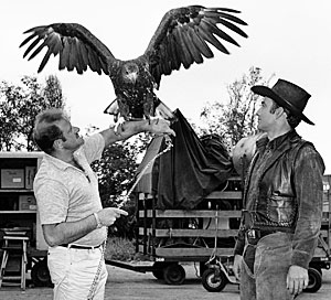 James Drury in 1962 with eagle trainer John Scheiner. 