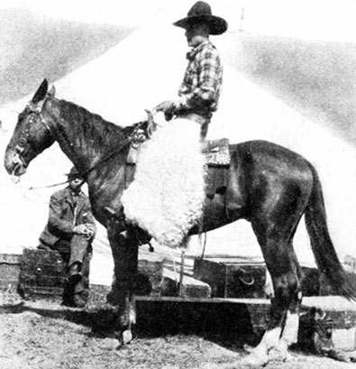 Buck Jones at about 18 or 19 years of age as a working cowboy on the Miller Brothers 101 Ranch near Ponca City, OK. Buck’s pay was $15 a month plus “chuck and bunk”.